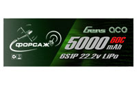 Forsage LiPo 12S (2*6S) 44.4V Battery 5000mAh 60C (  )