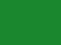 Mumeisha AS17 Metallic Green Color 180ml