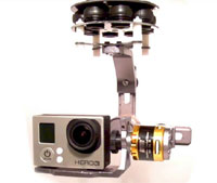 DYS 2-Axis BLG2A GoPro BL Gimbal (  )